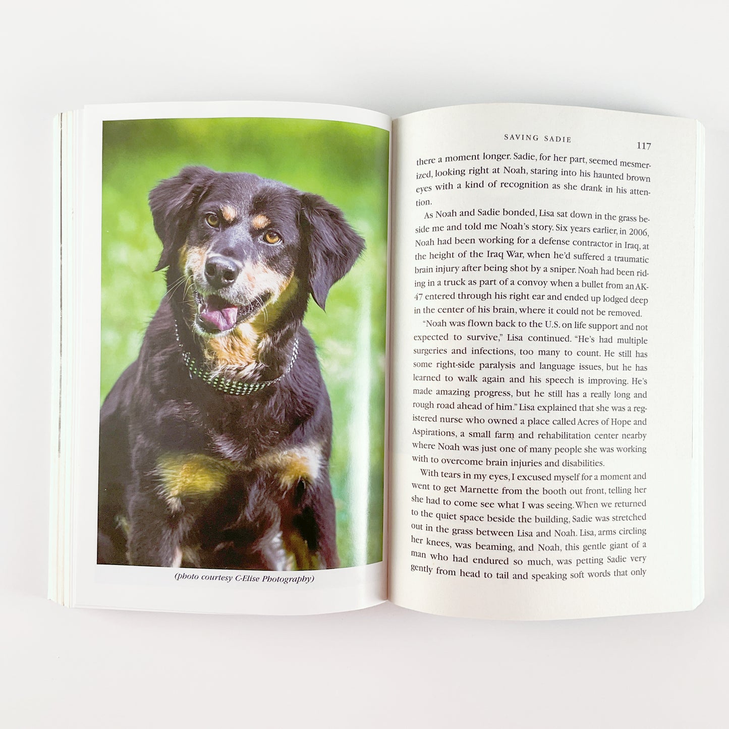 Saving Sadie: How a Dog That No One Wanted Inspired the World