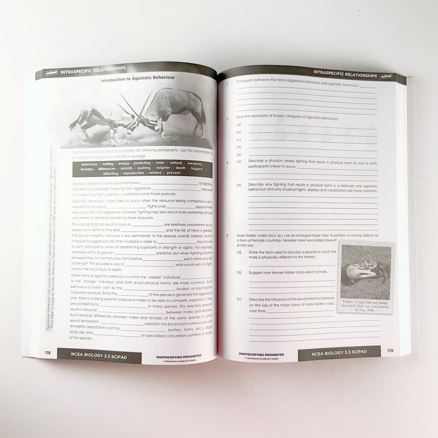 sciPAD External Biology Workbook Level 3