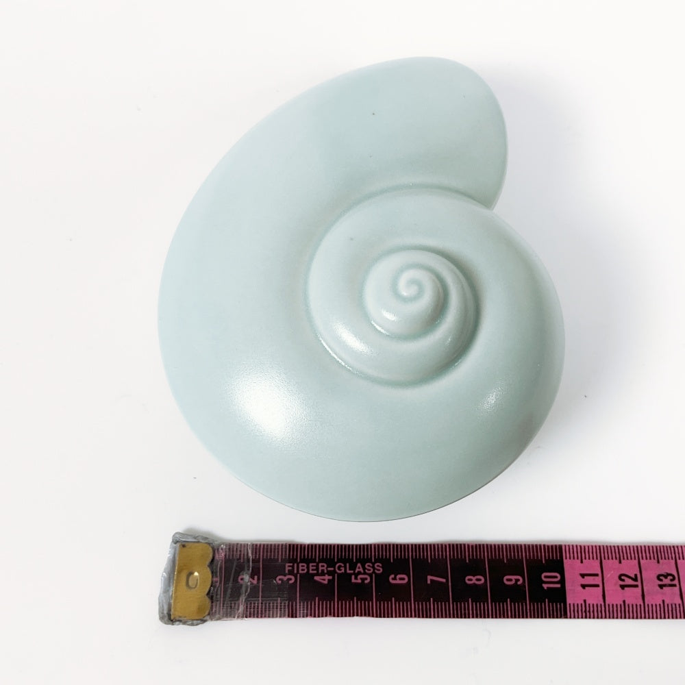Steiner Ceramics NZ - Sea Snail Wall Art