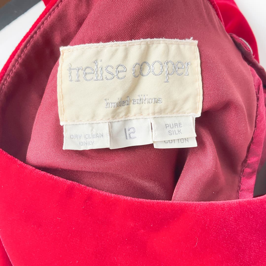 Vintage trelise cooper - Velvet Dress