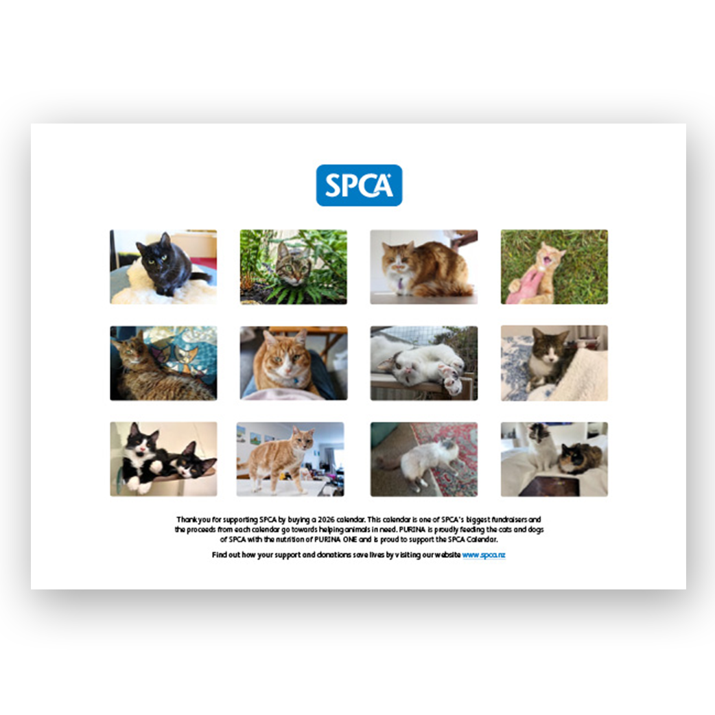 SPCA 2026 Calendar – Cats