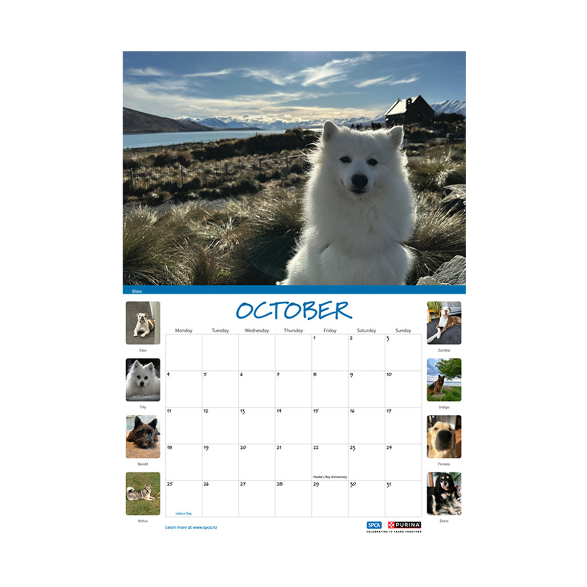 SPCA 2027 Calendar – Dogs