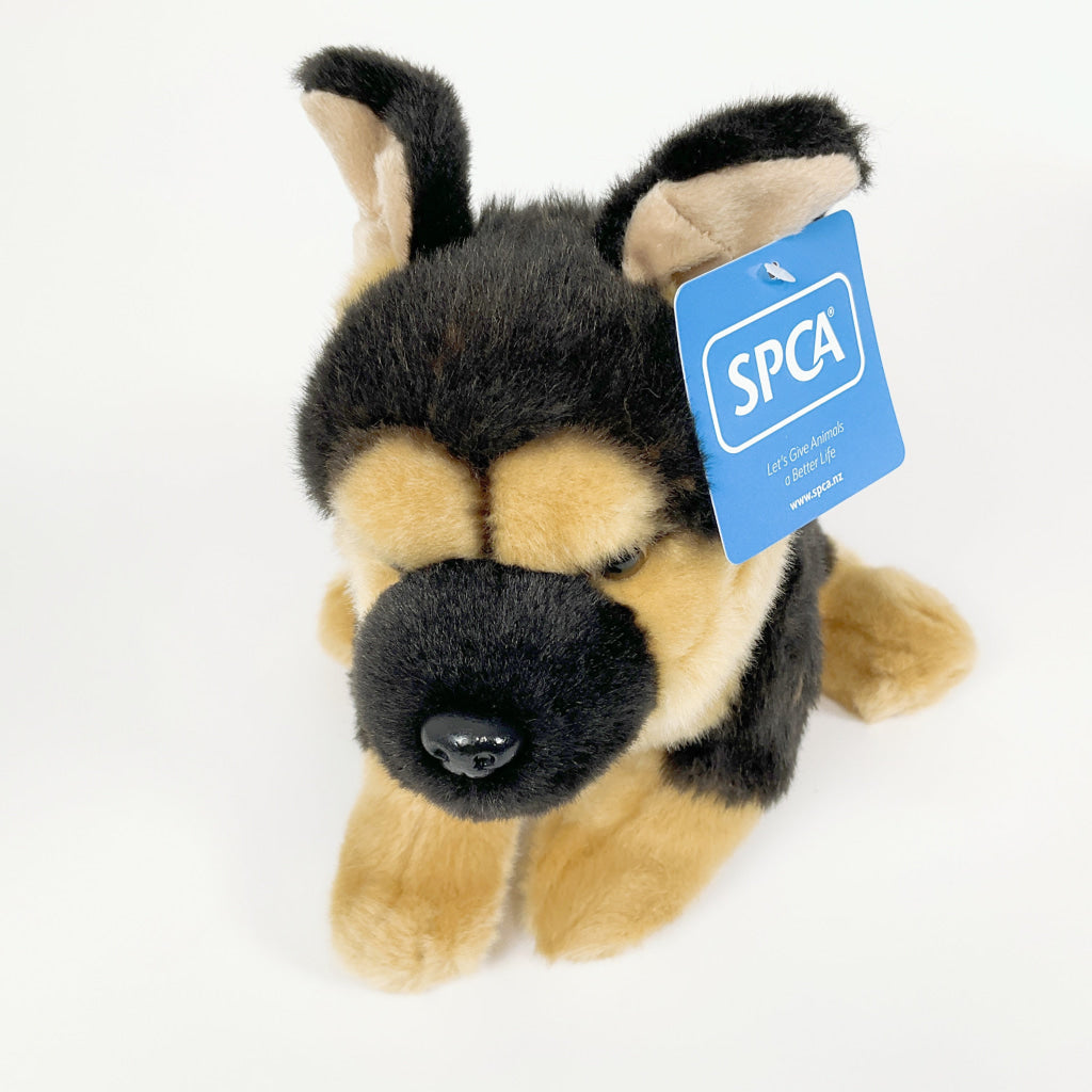 Spca - German Shepherd Dog