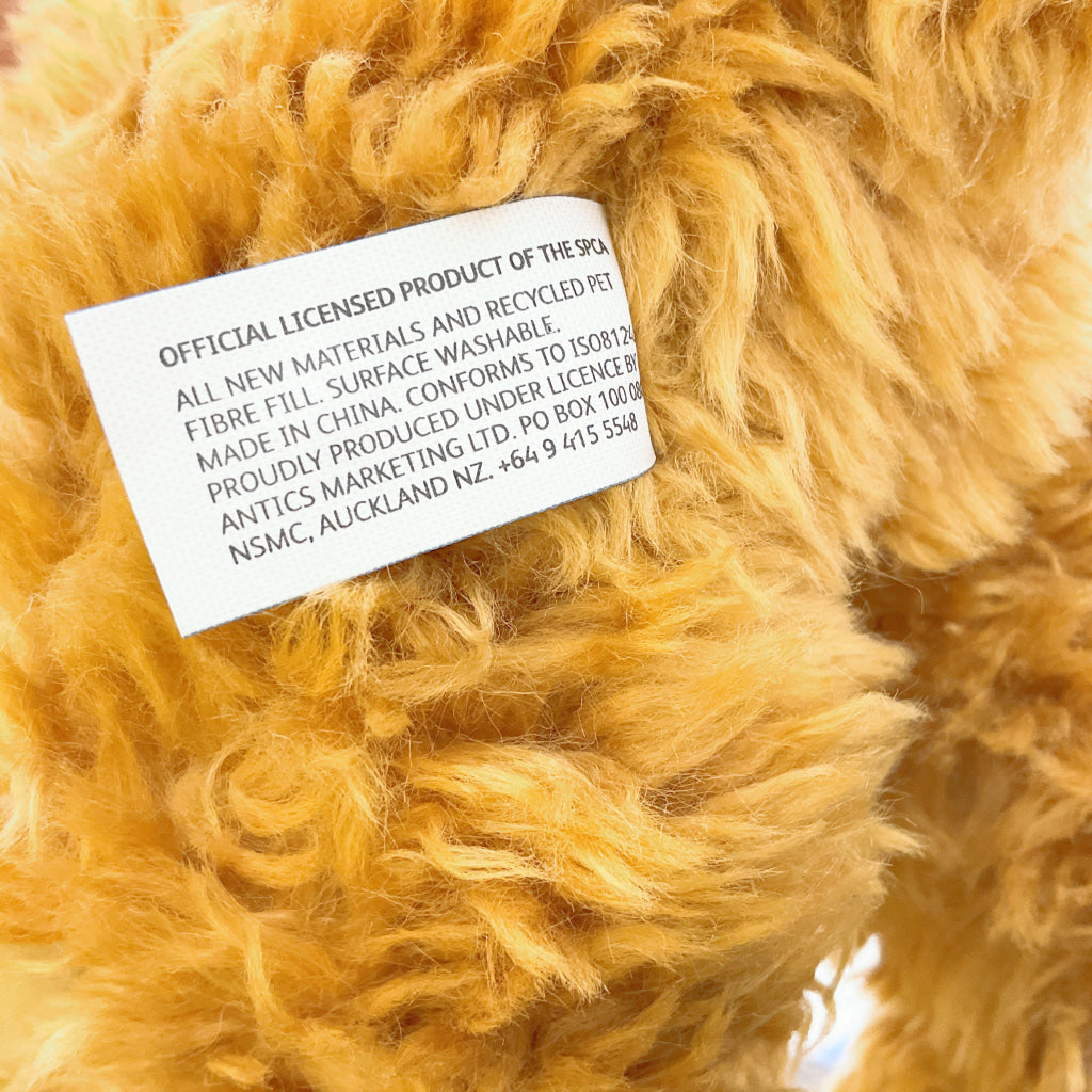 Spca - Labradoodle Dog