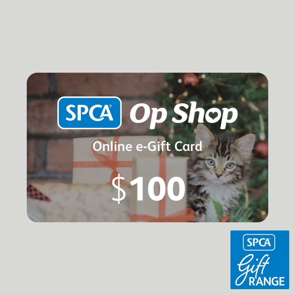 $100 e-Gift Card - Christmas - NZ$100.00 - Gift Cards