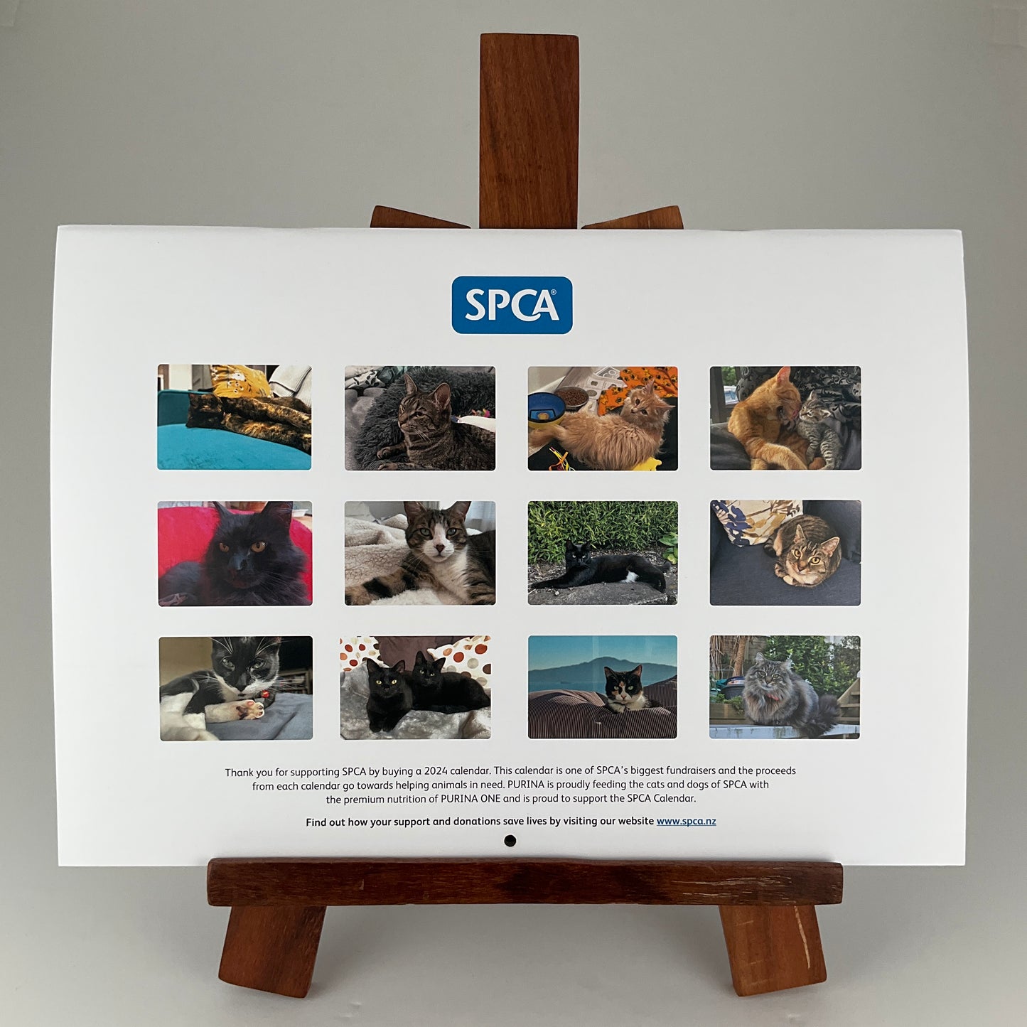 SPCA 2024 Annual Calendar - Cats