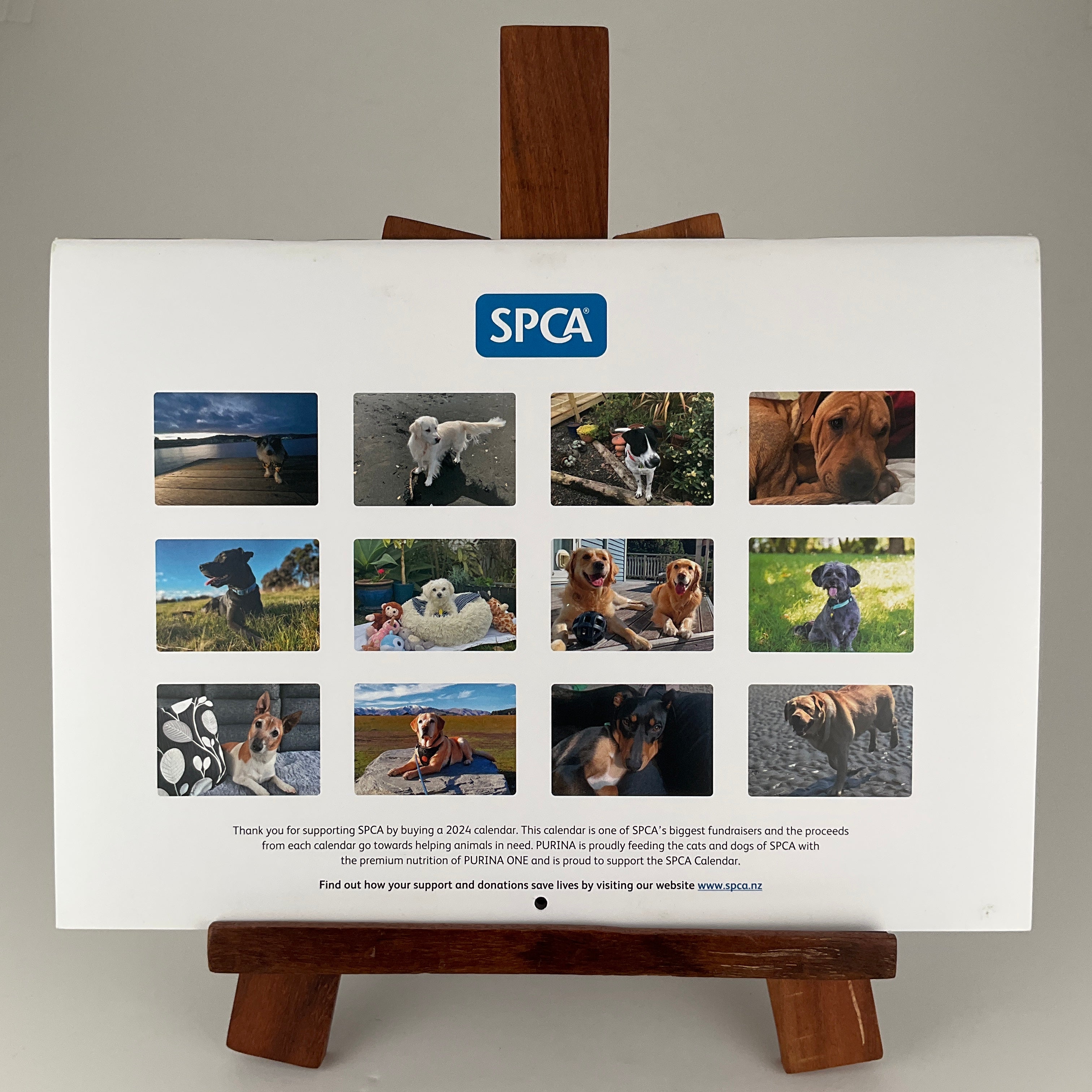 SPCA 2024 Annual Calendar Dogs SPCA Op Shops   20231119 220040171 IOS 