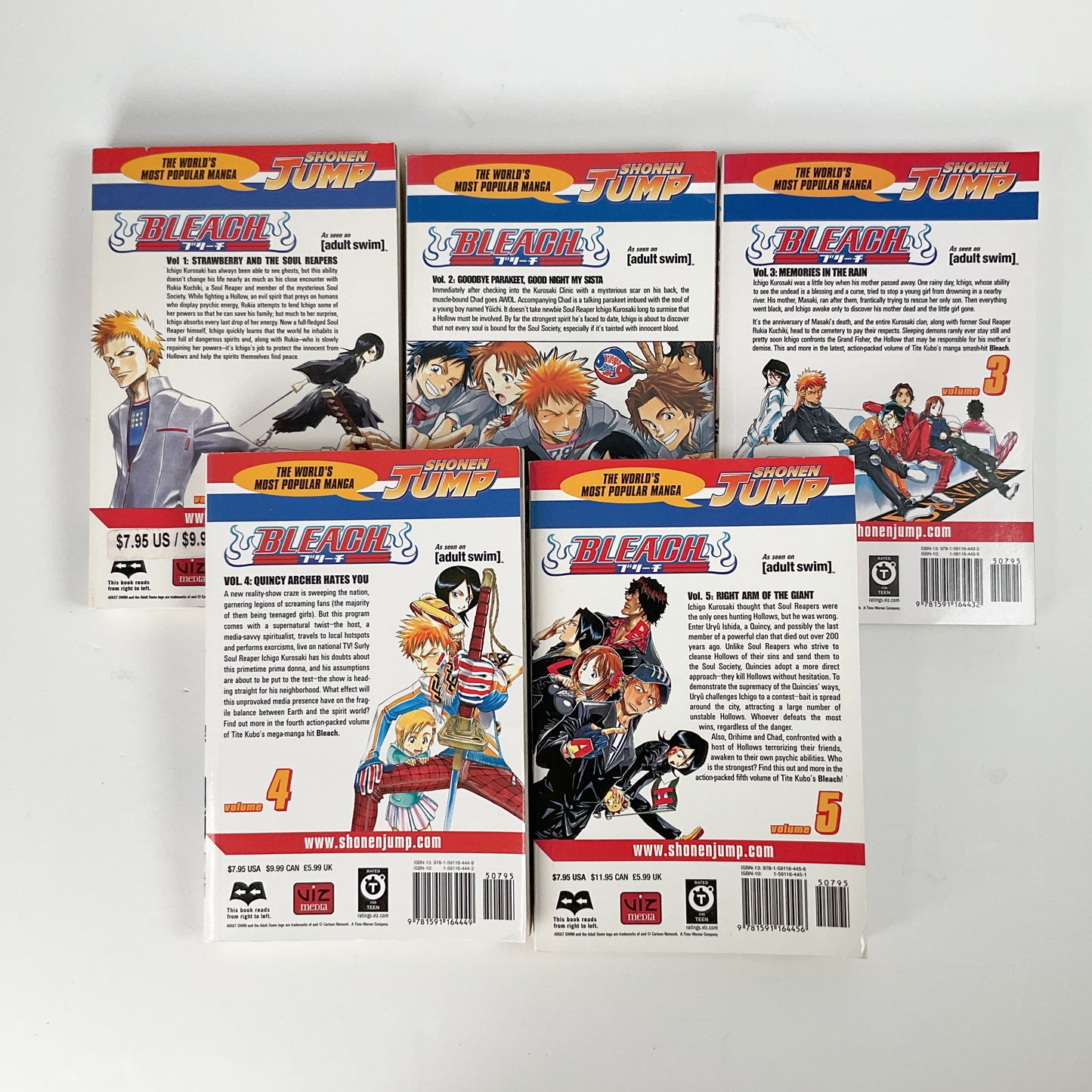 Bleach - Volume 1 - 5 Bundle