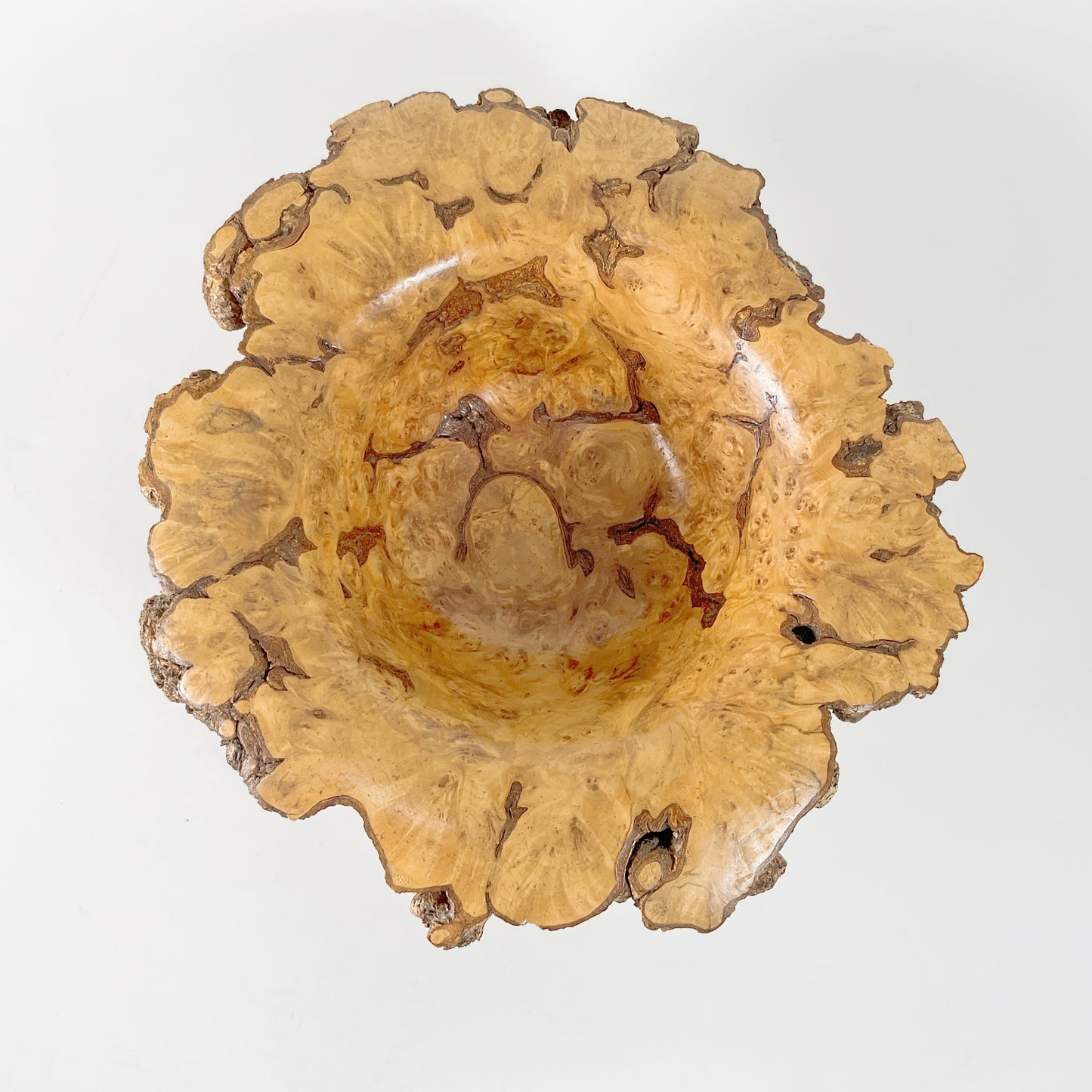 Handcrafted - Silver Beech Burl Bowl