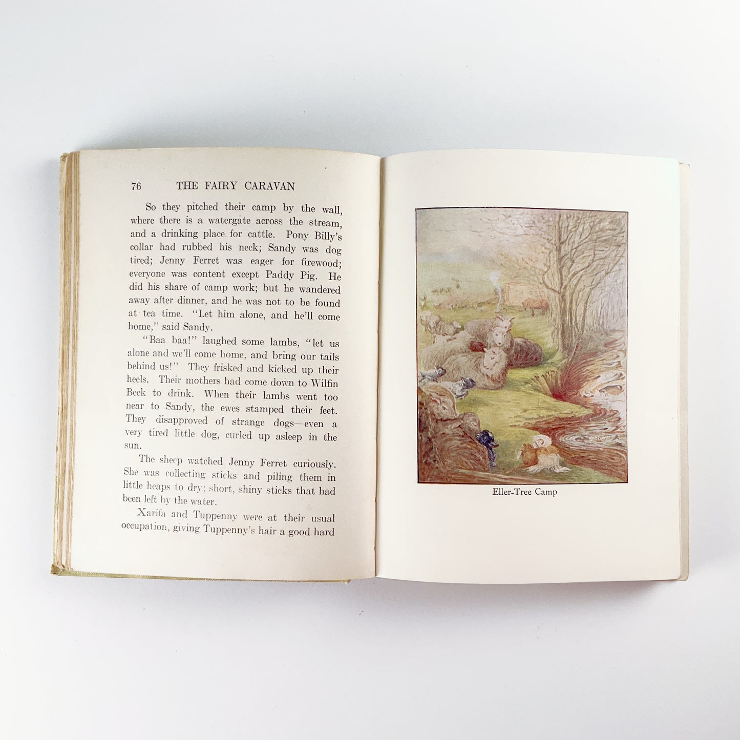 The Fairy Caravan by Beatrix Potter