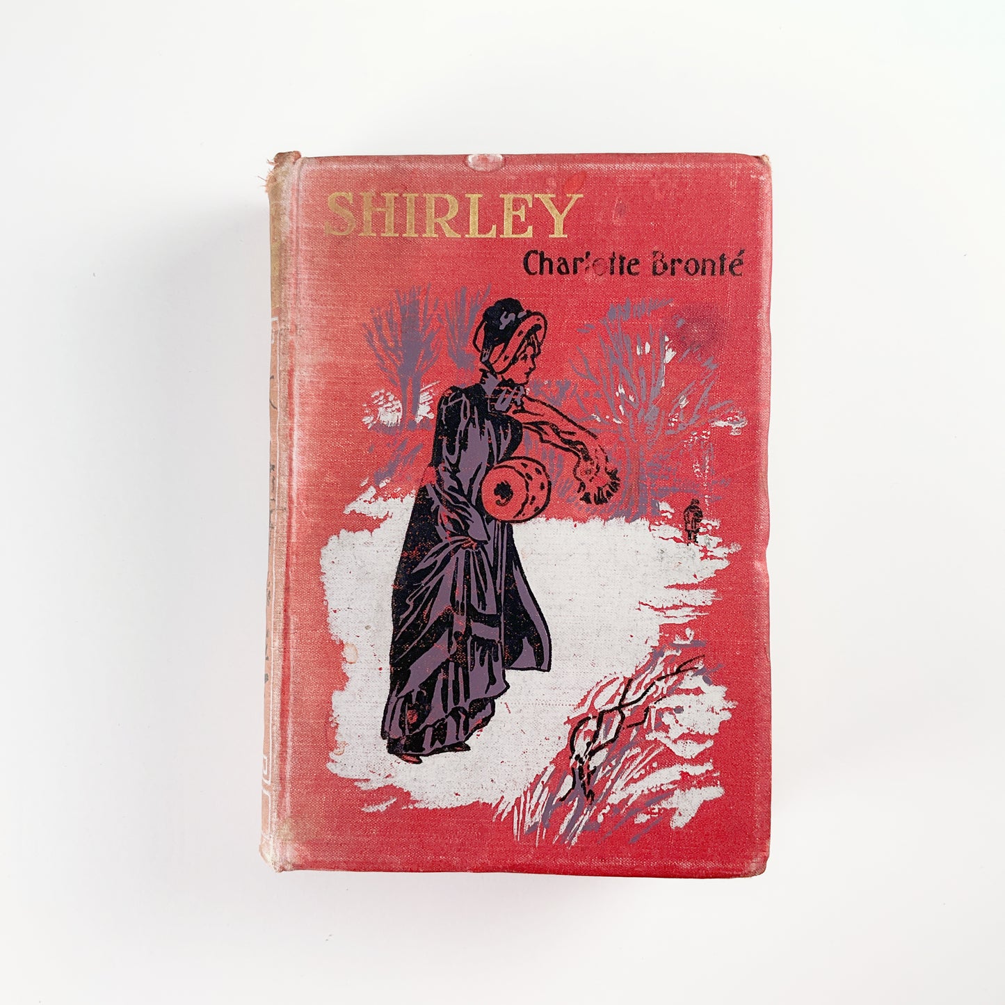 Shirley by Charlotte Bronte