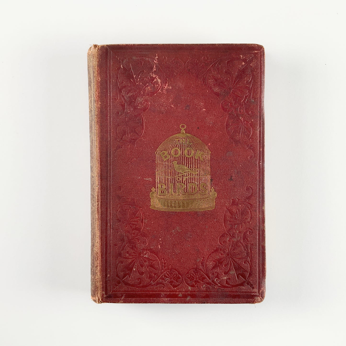 First Edition: Beeton's Book of Birds