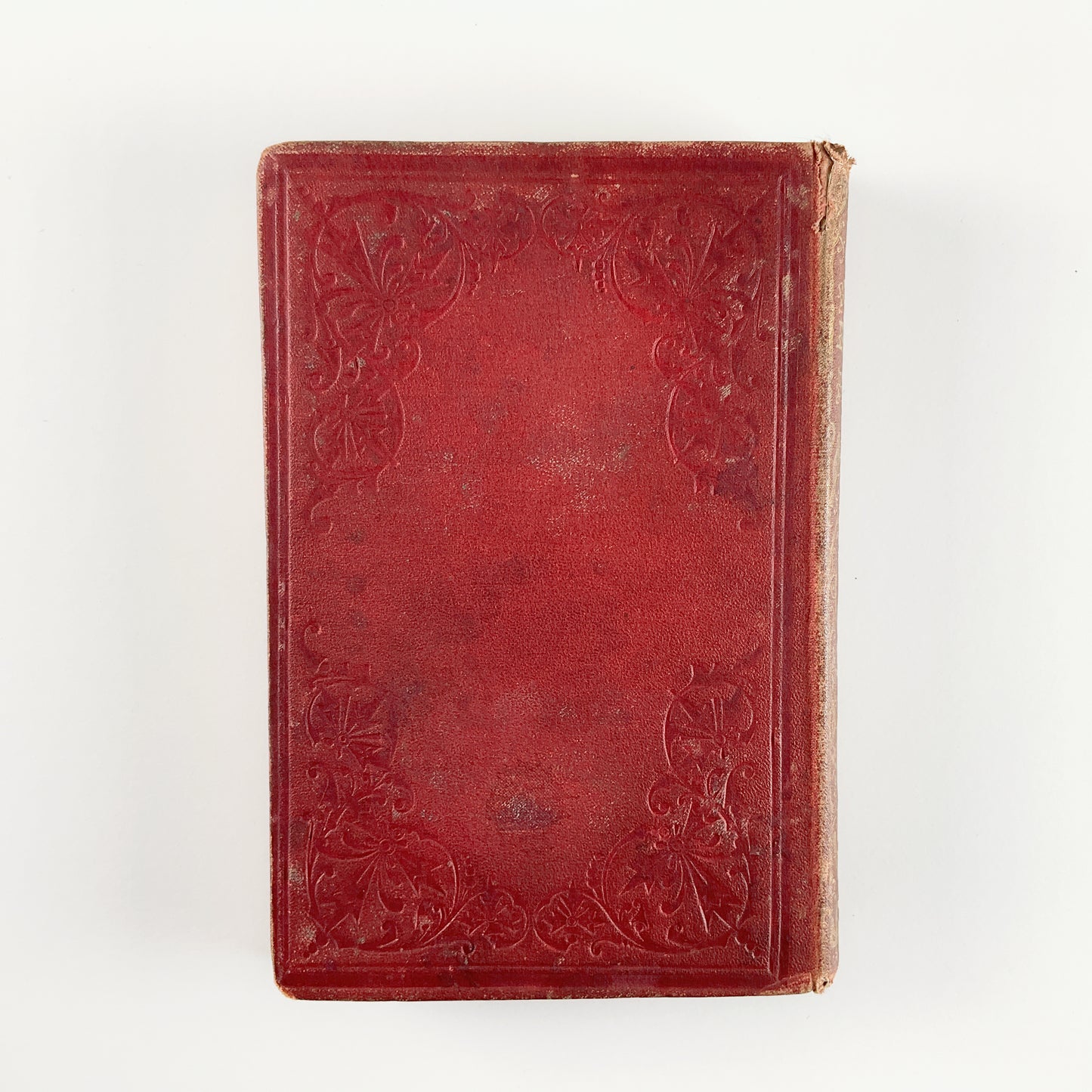 First Edition: Beeton's Book of Birds