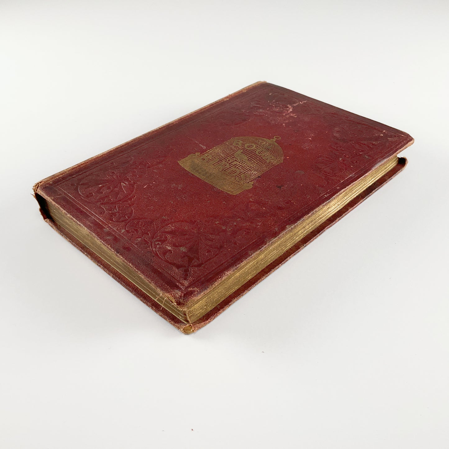 First Edition: Beeton's Book of Birds