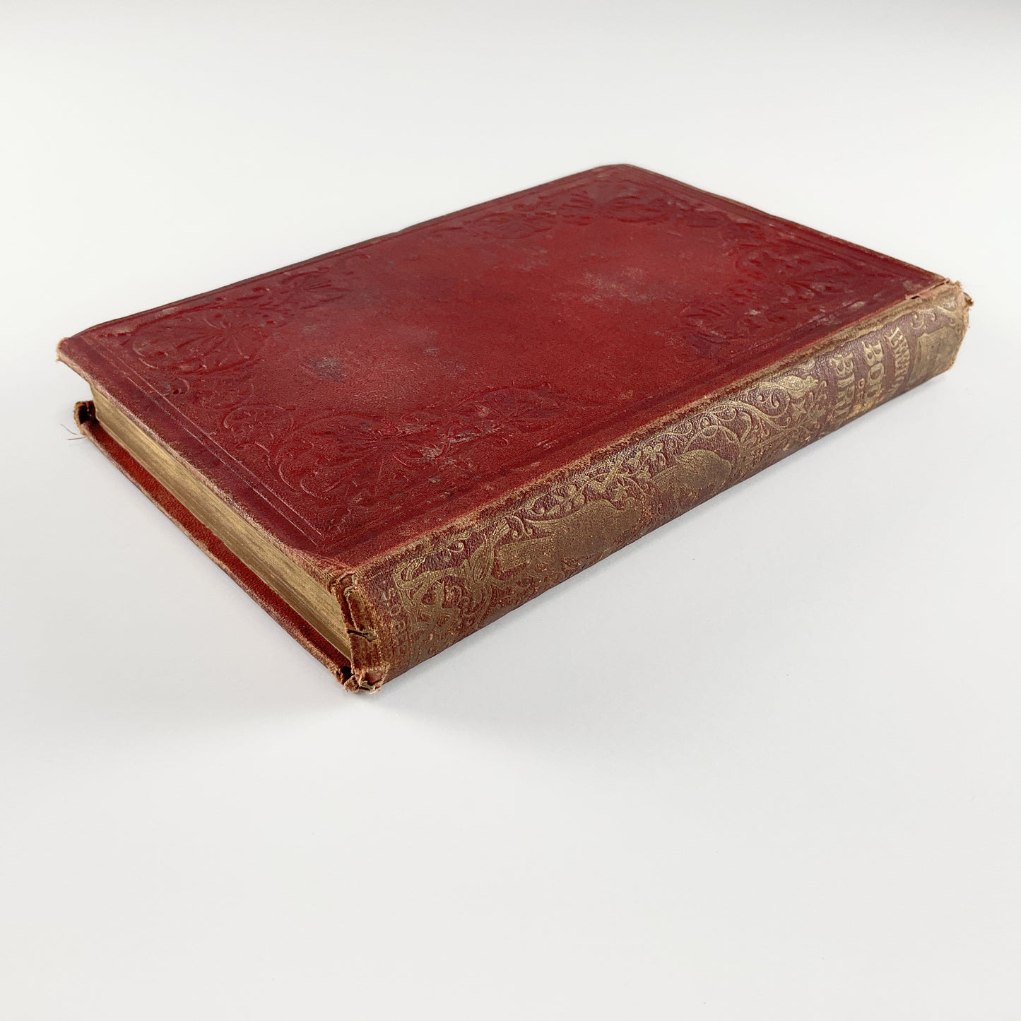 First Edition: Beeton's Book of Birds