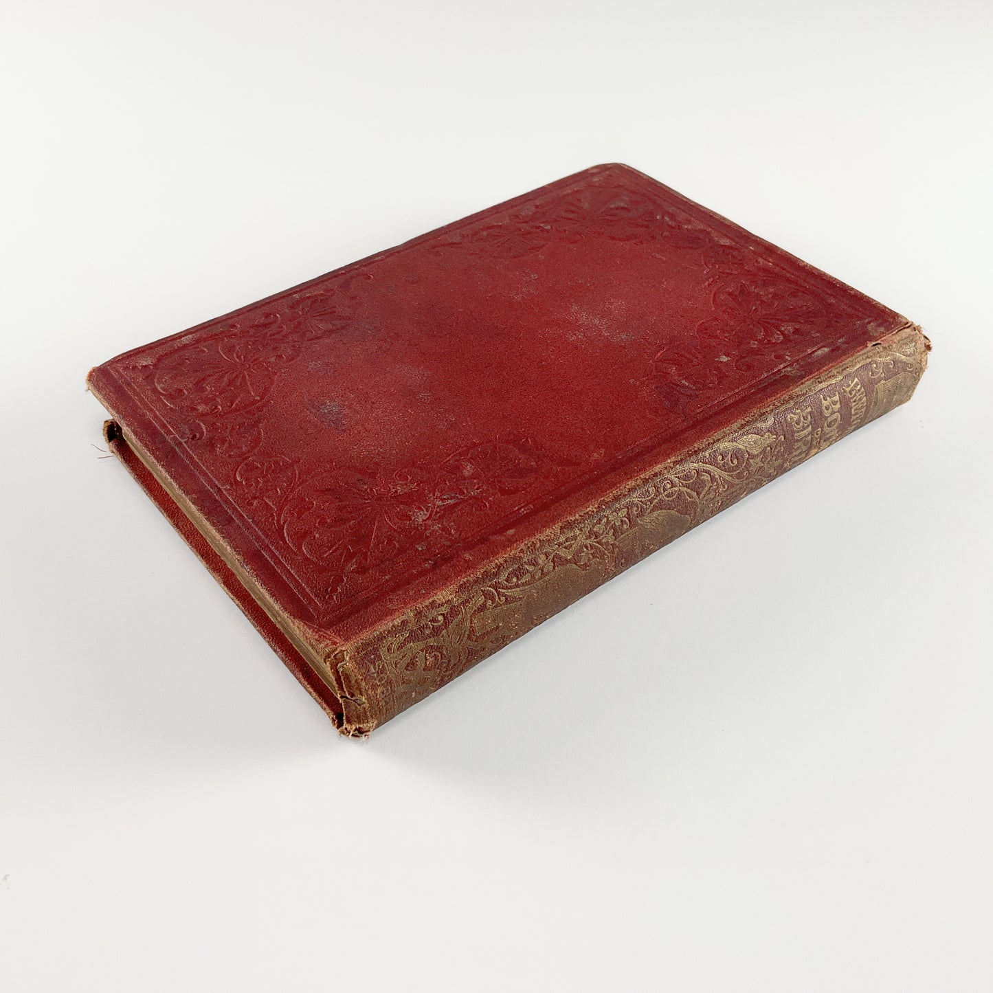 First Edition: Beeton's Book of Birds