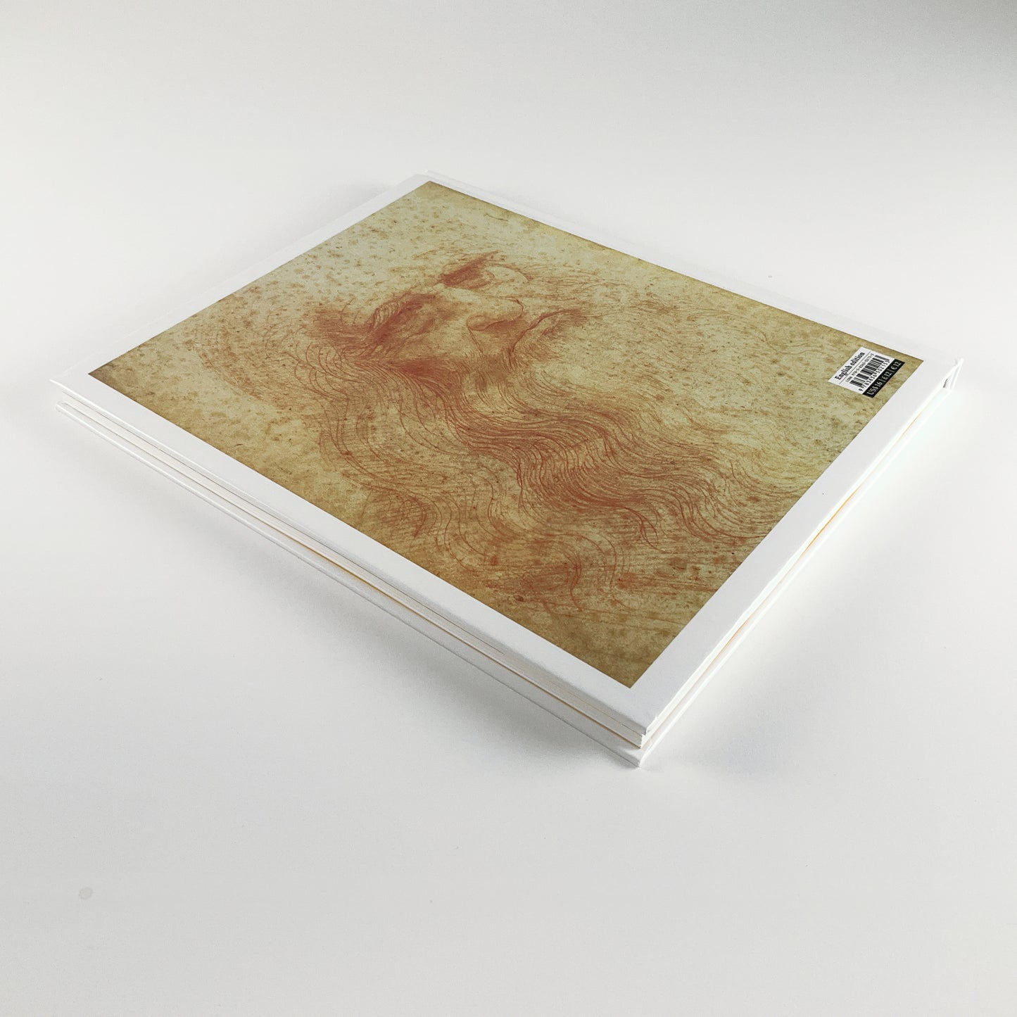 Leonardo Da Vinci by Frank Zollner