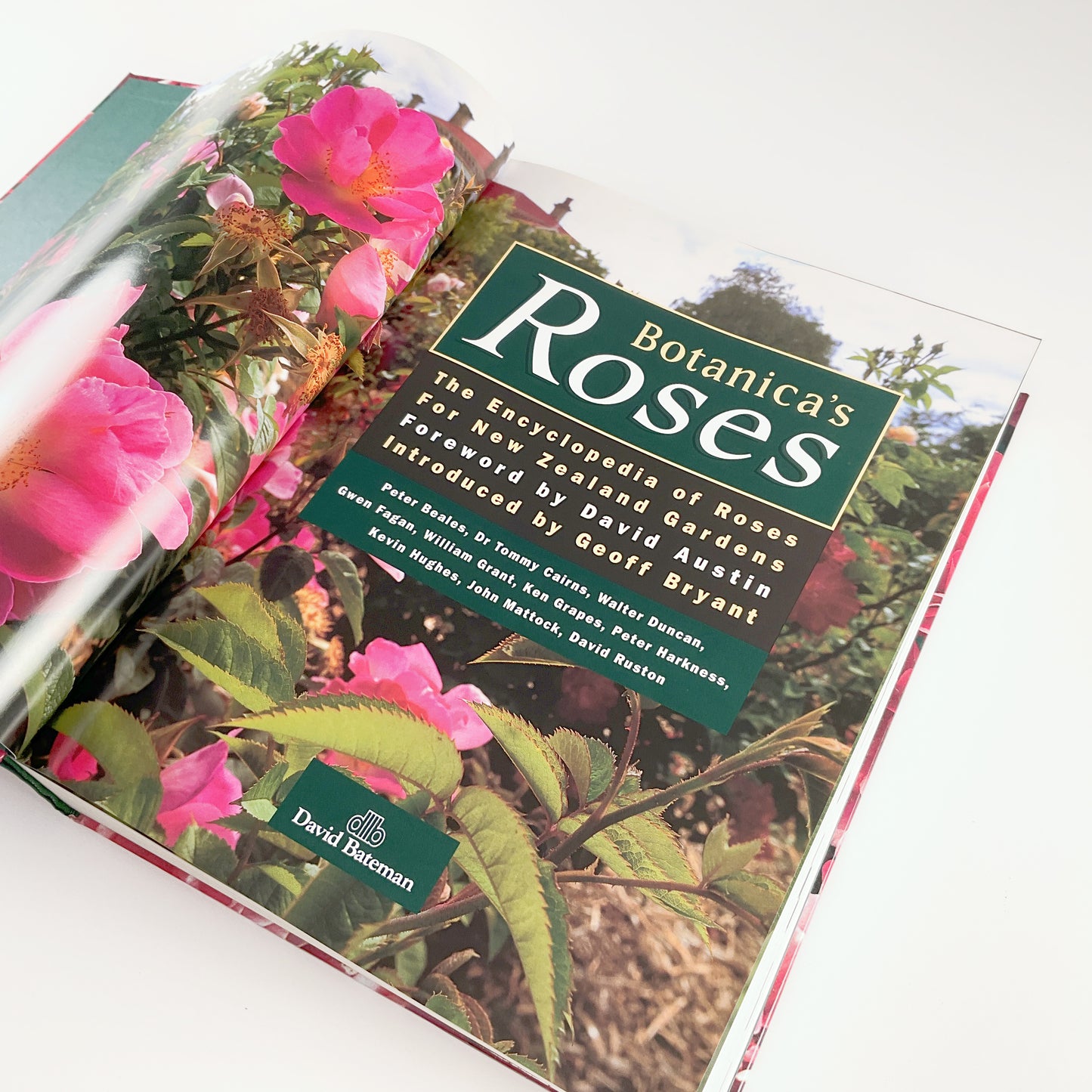 Botanica's Roses - The Encyclopedia of Roses