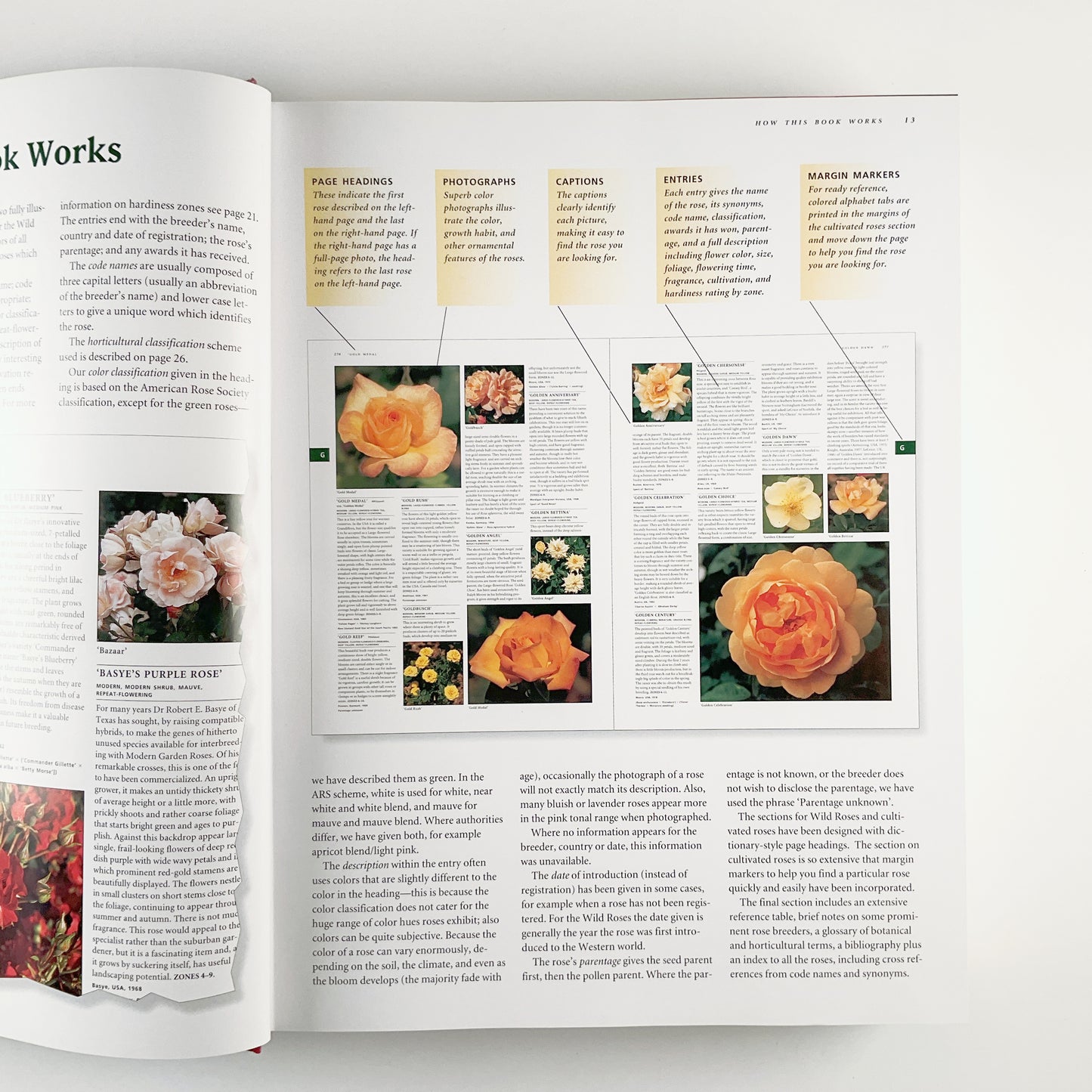 Botanica's Roses - The Encyclopedia of Roses