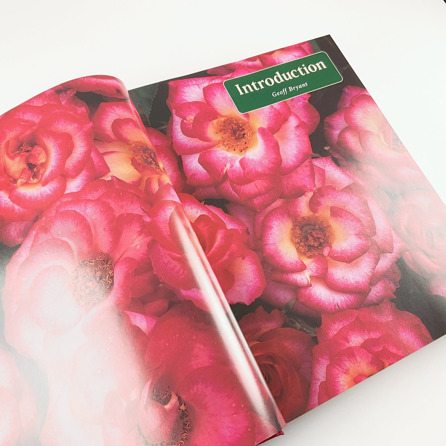 Botanica's Roses - The Encyclopedia of Roses