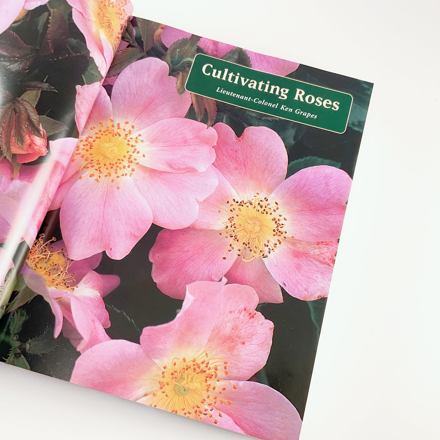 Botanica's Roses - The Encyclopedia of Roses