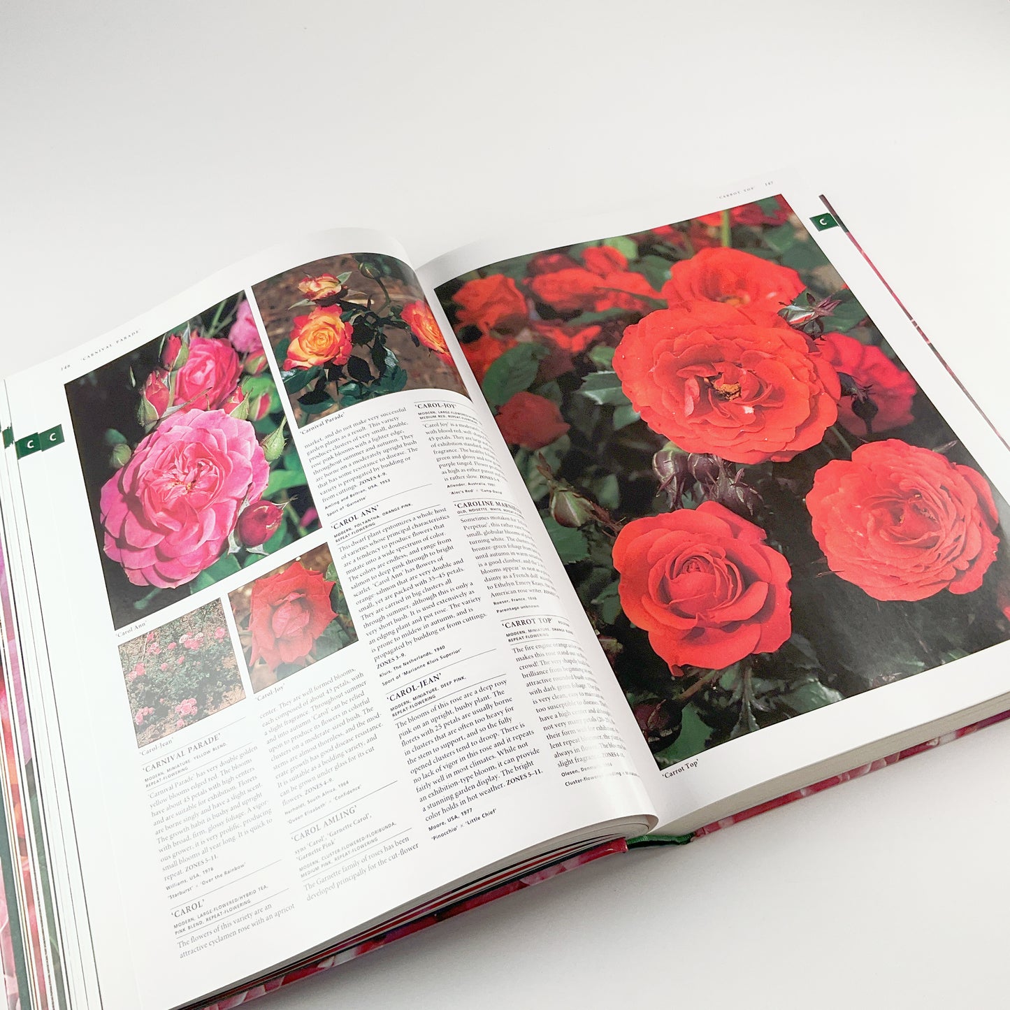 Botanica's Roses - The Encyclopedia of Roses