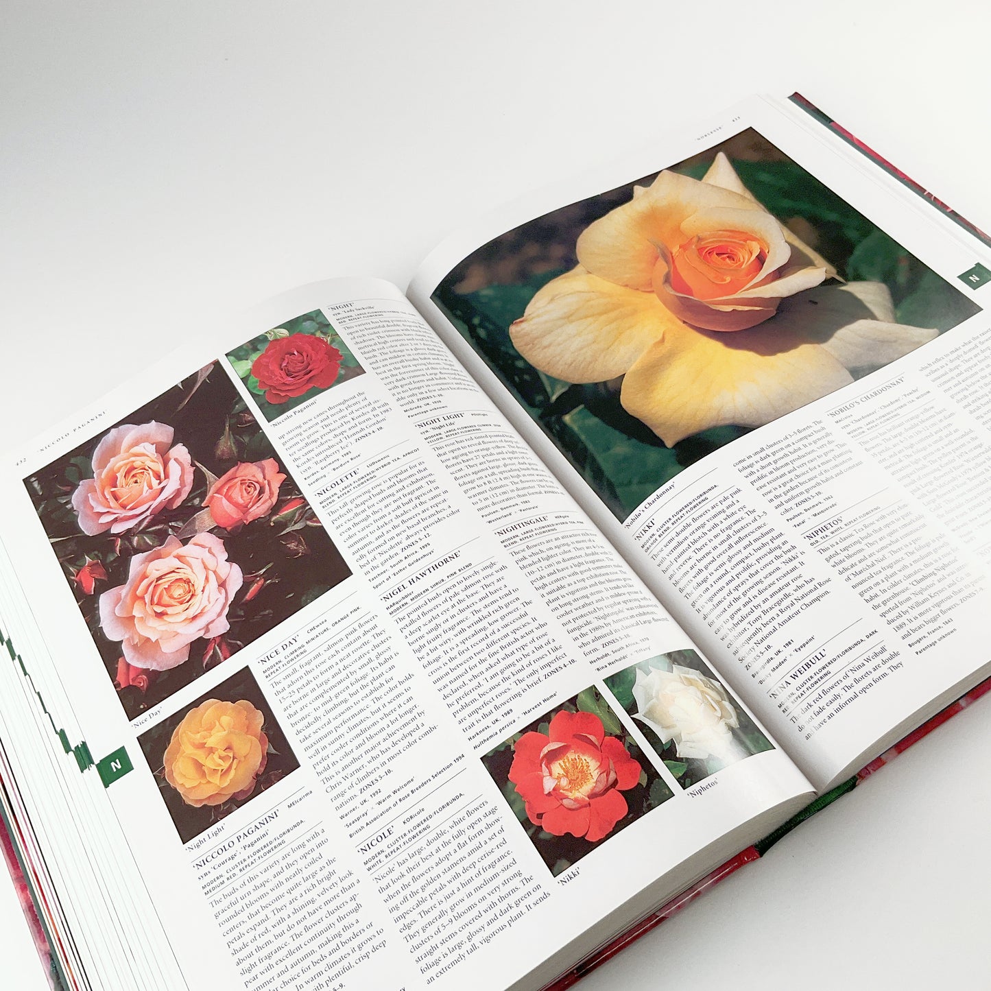 Botanica's Roses - The Encyclopedia of Roses