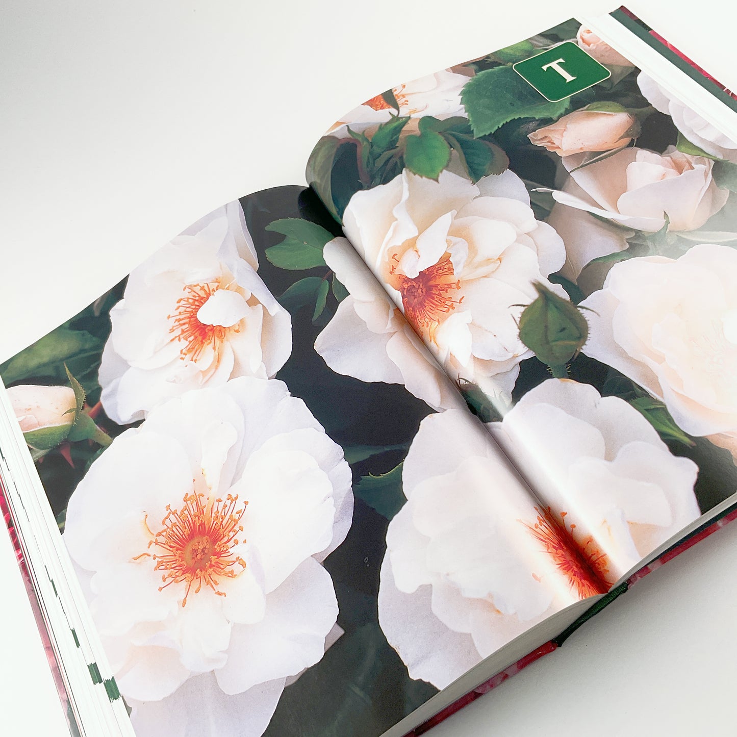 Botanica's Roses - The Encyclopedia of Roses