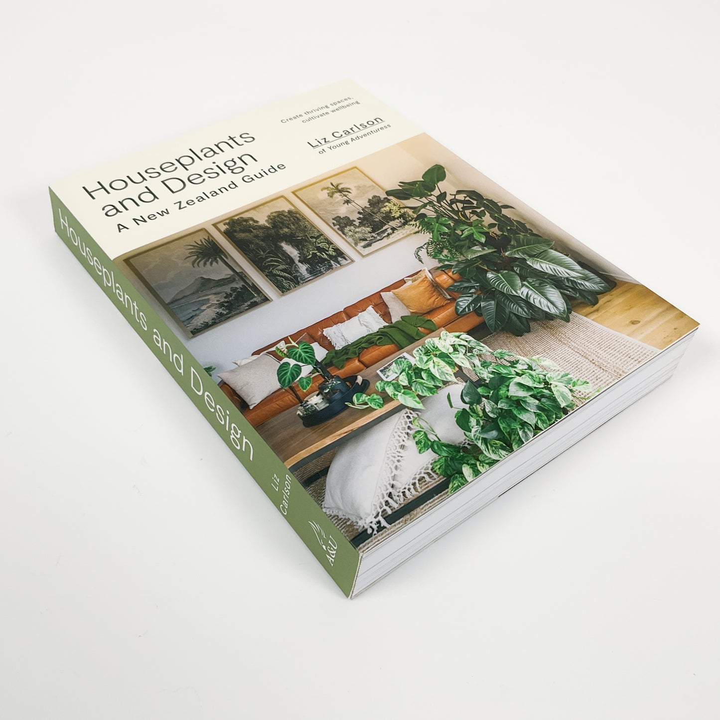 Houseplants and Design: A New Zealand Guide