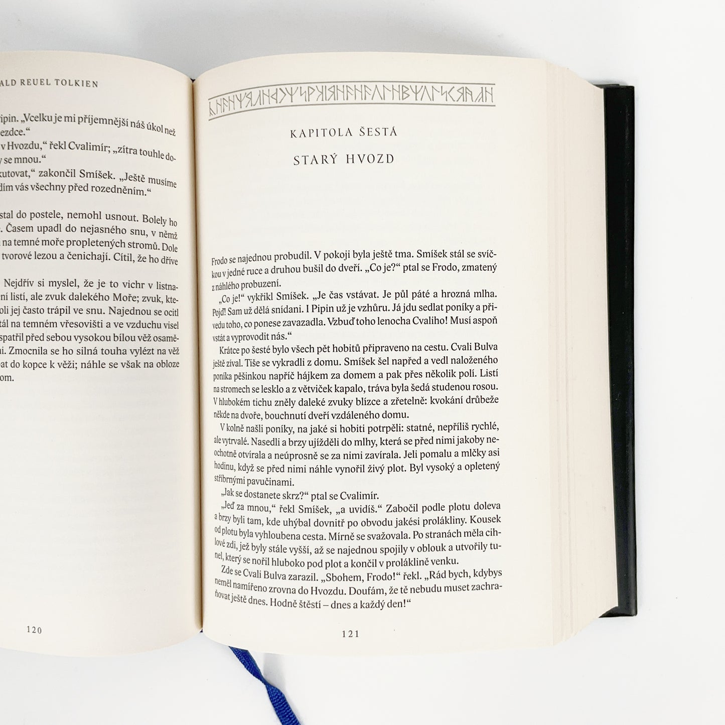 Pán Prstenů (The Lord of the Rings - Czech Edition)