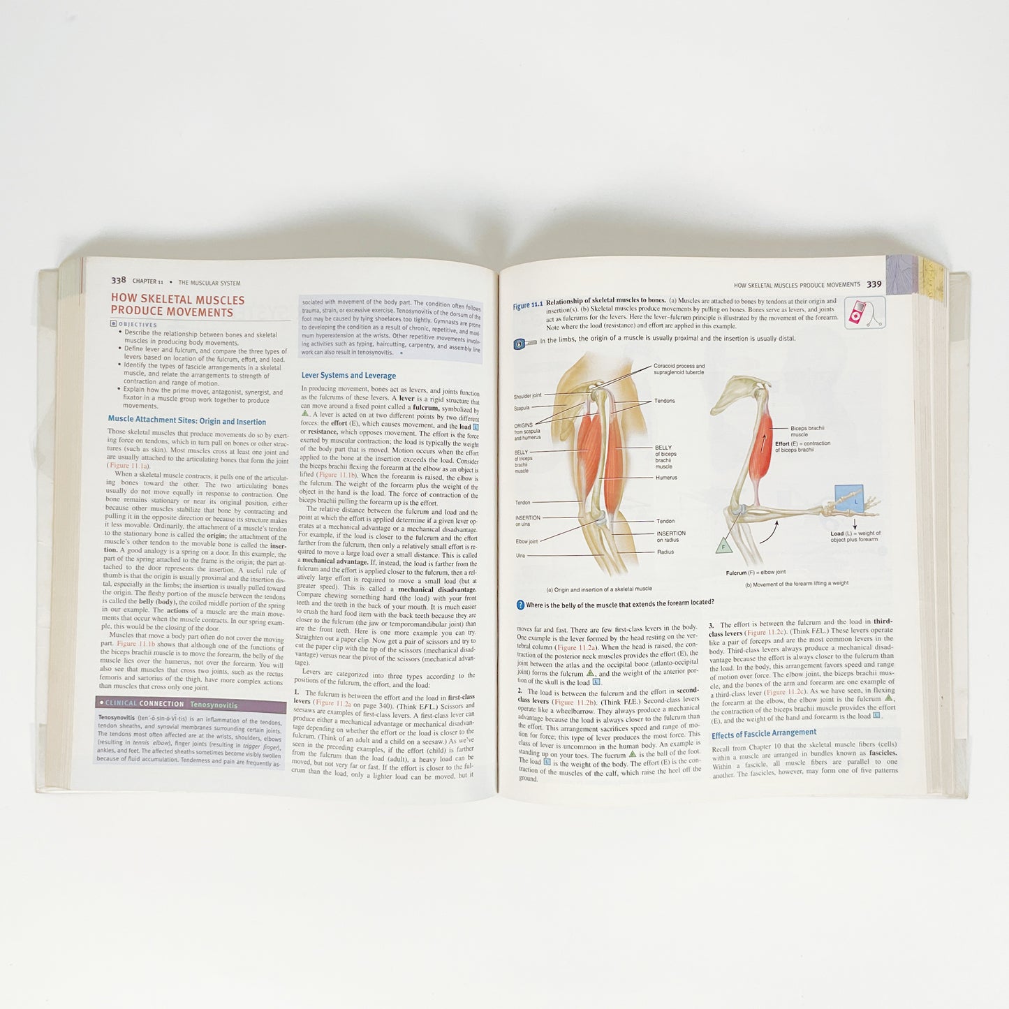 Principles Of Anatomy And Physiology by Gerard J. Tortora - Volume 1