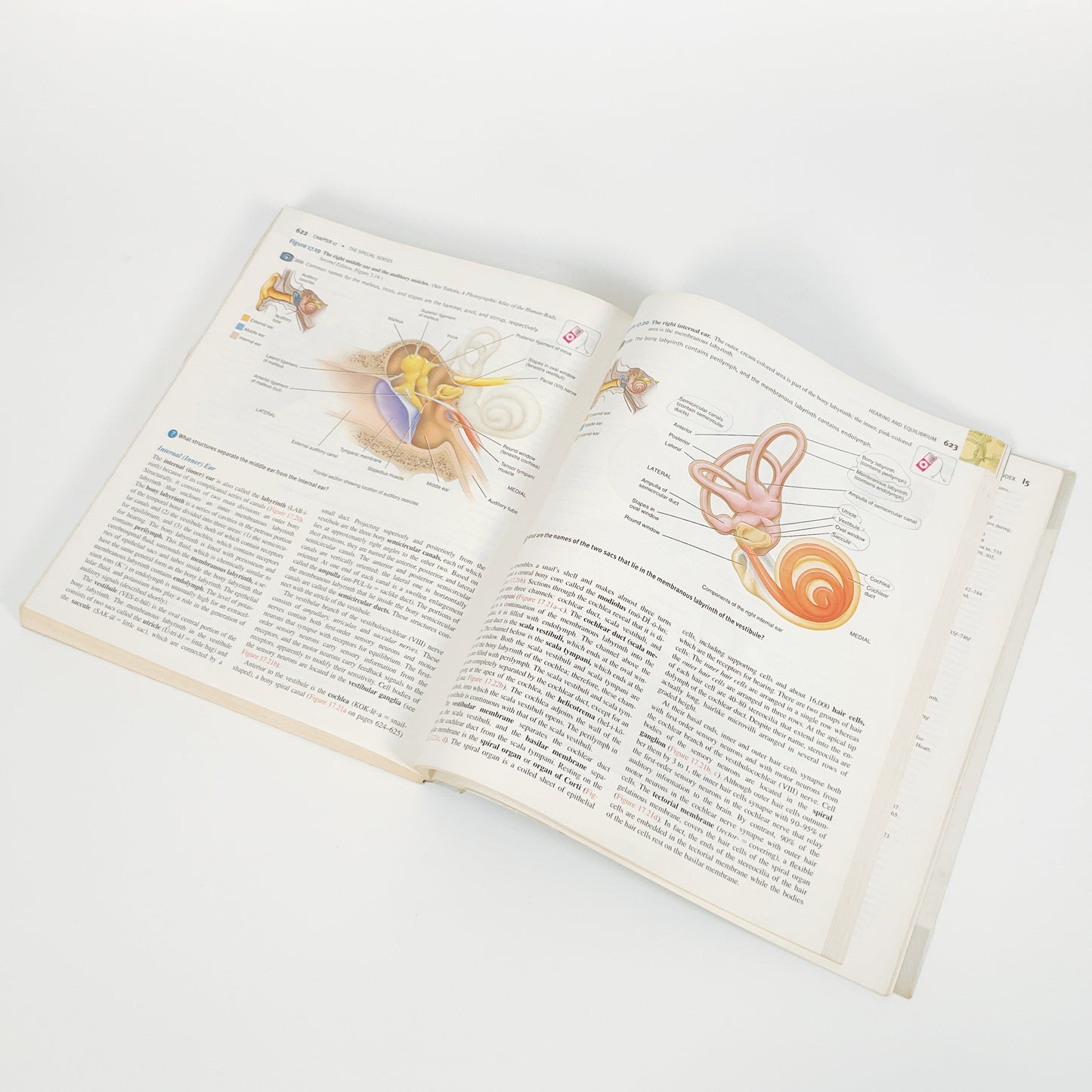Principles Of Anatomy And Physiology by Gerard J. Tortora - Volume 1