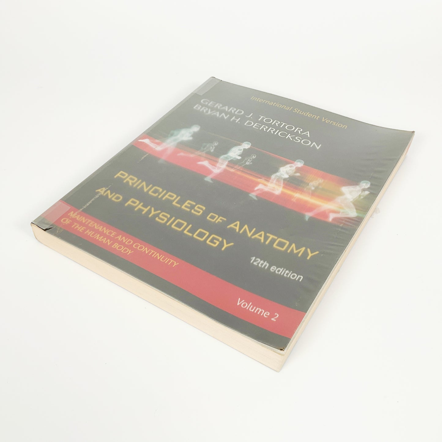 Principles Of Anatomy And Physiology by Gerard J. Tortora - Volume 2