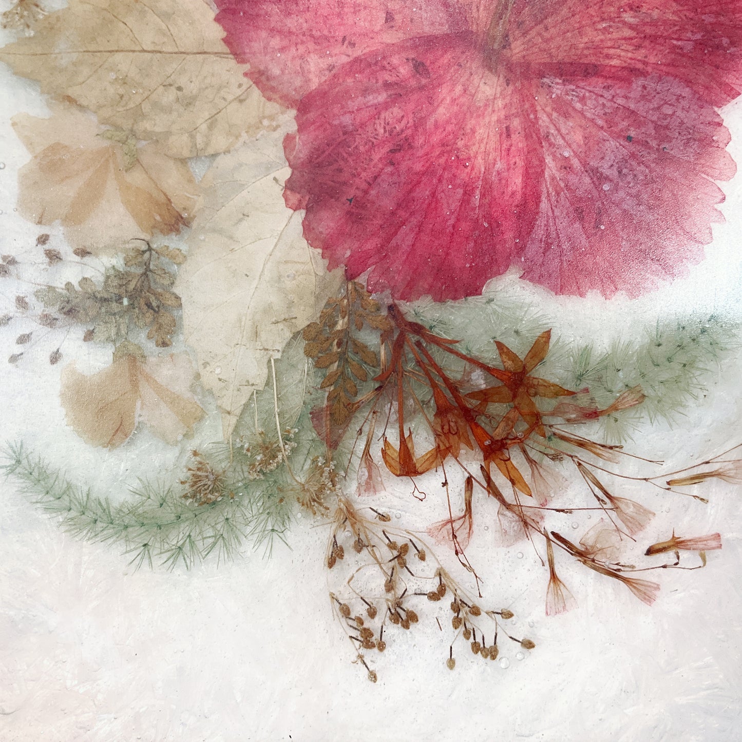 Fibretec Matara - Vintage Bouquet Flower Preservation Frame