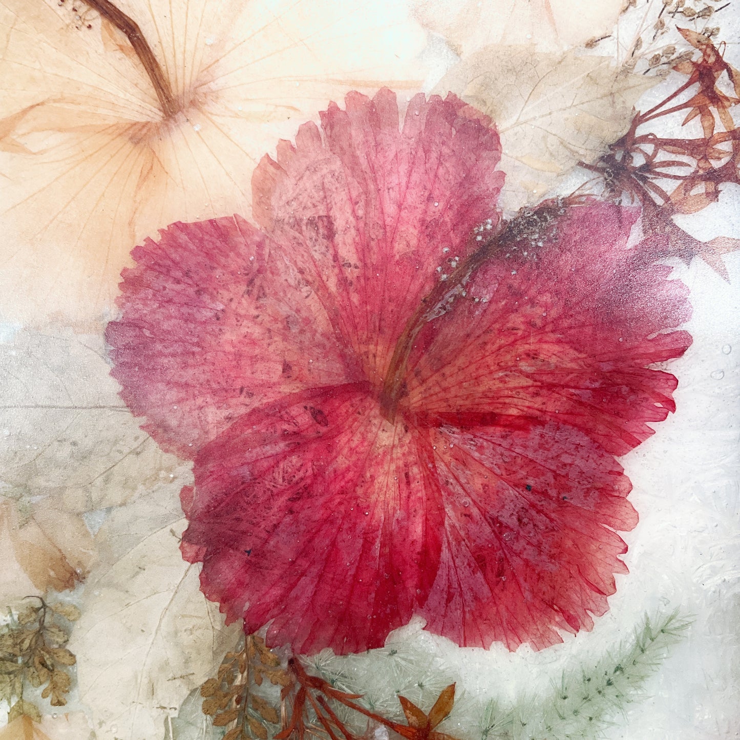 Fibretec Matara - Vintage Bouquet Flower Preservation Frame