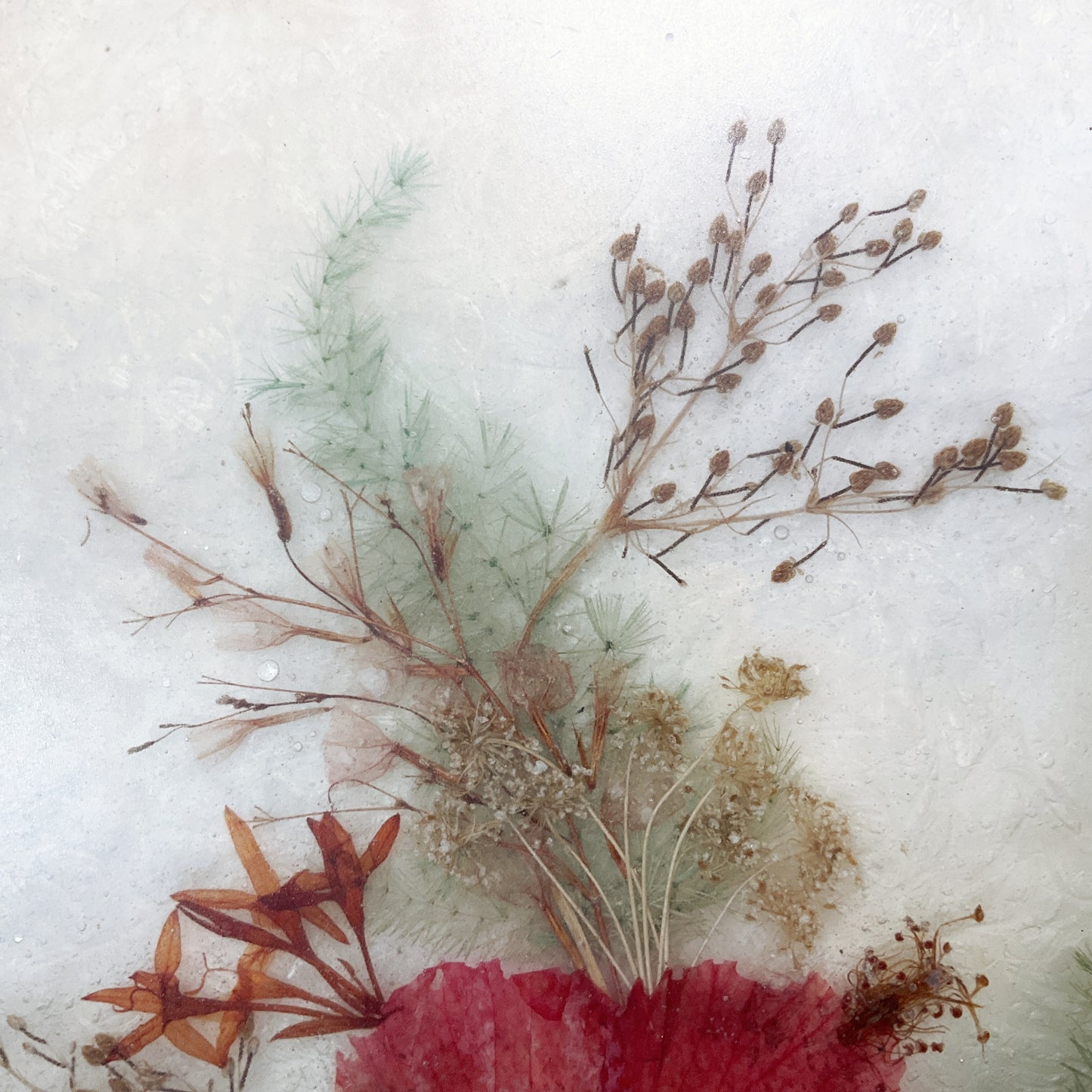 Fibretec Matara - Vintage Bouquet Flower Preservation Frame