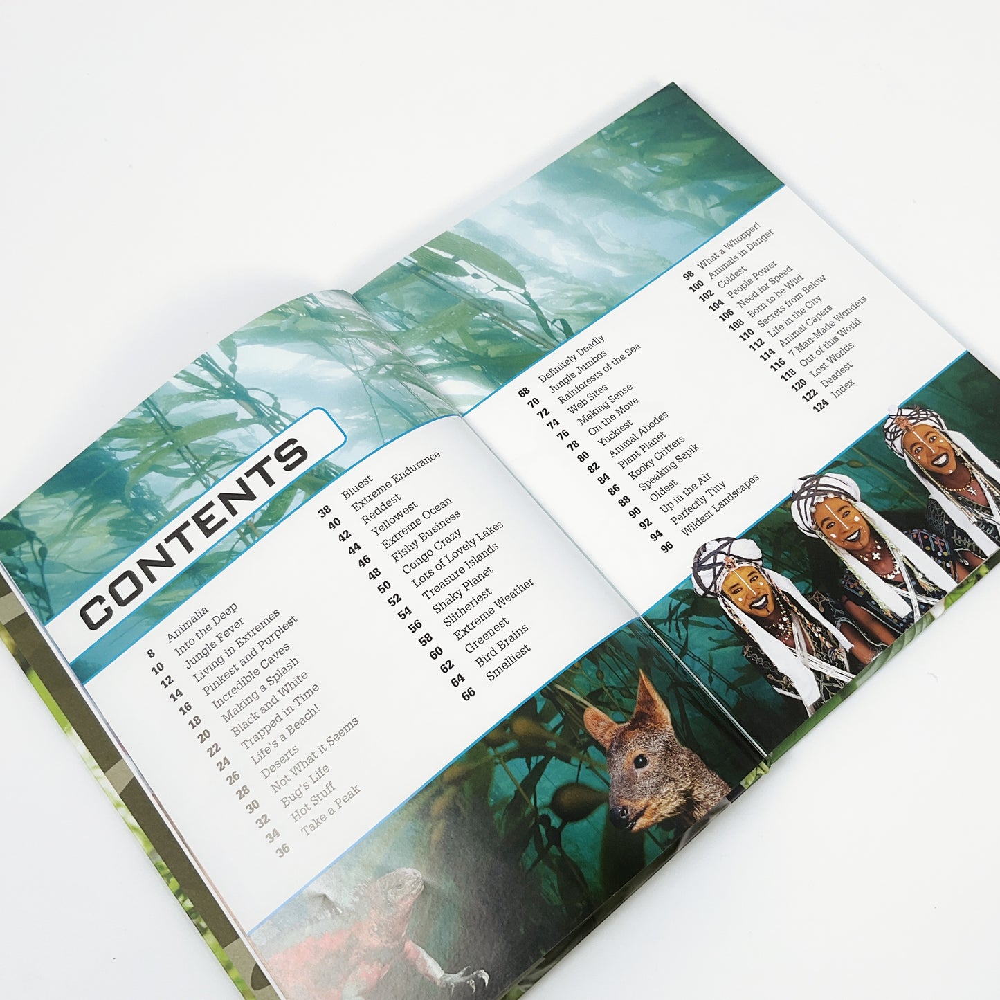 Bear Grylls Extreme Planet