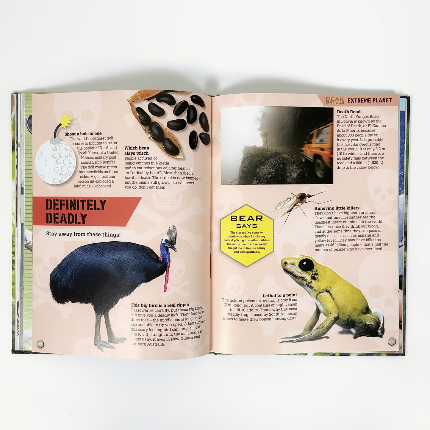 Bear Grylls Extreme Planet