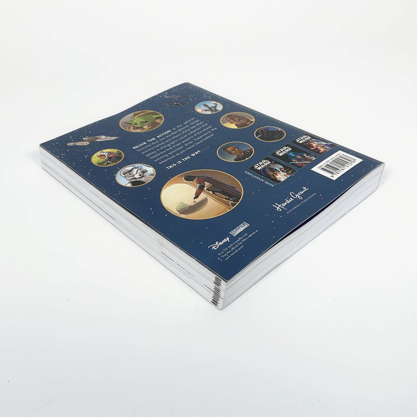 Star Wars: The Mandalorian: A Graphic Novel (paperback)