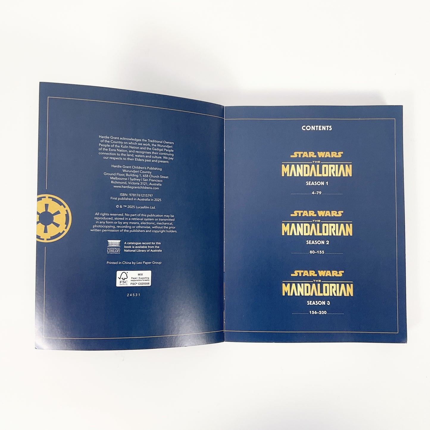 Star Wars: The Mandalorian: A Graphic Novel (paperback)