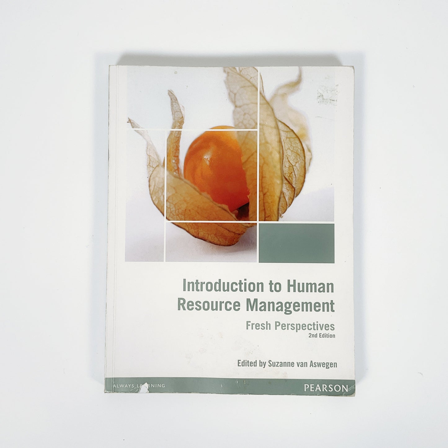 Introduction to human resource Management: Fresh Perspectives 2nd Edition