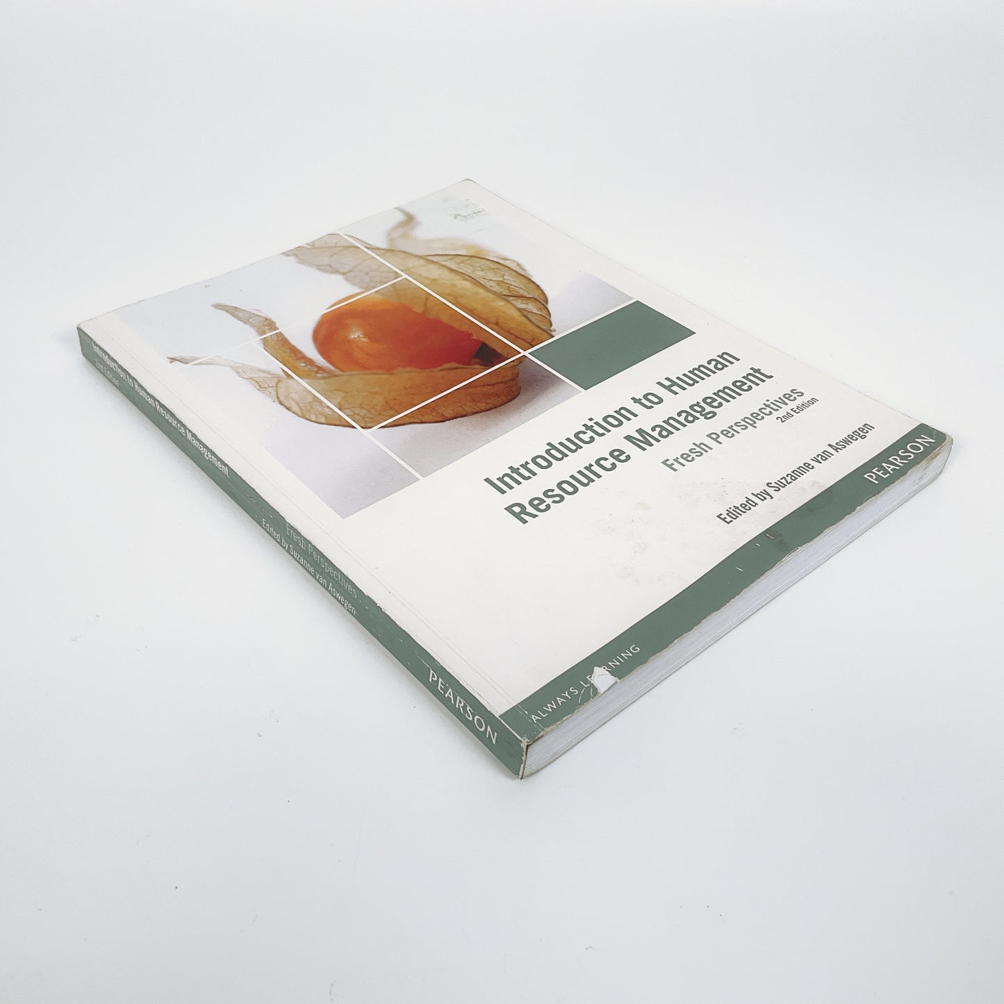 Introduction to human resource Management: Fresh Perspectives 2nd Edition