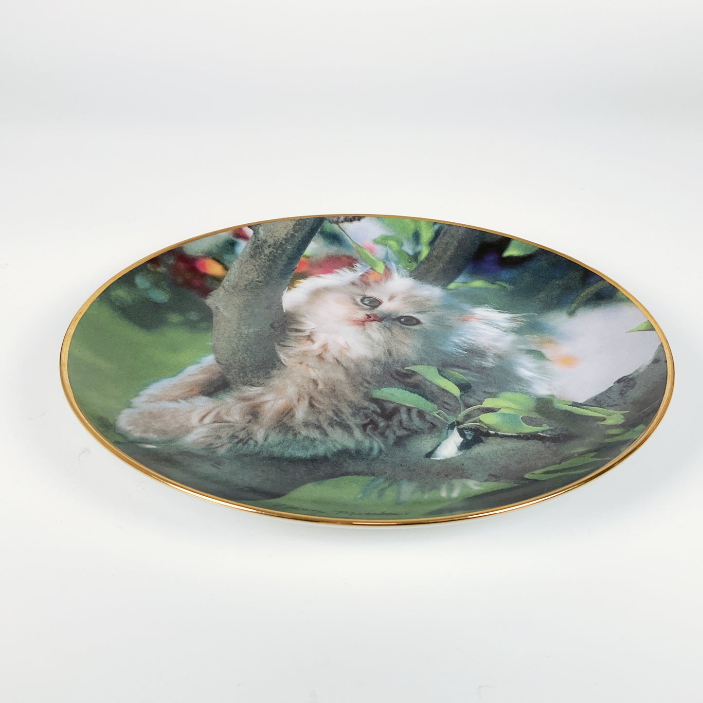 Franklin Mint - "Out on a Limb" by Nancy Matthews Decorative Plate