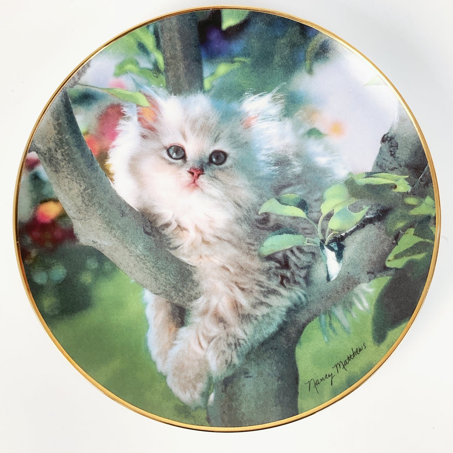Franklin Mint - "Out on a Limb" by Nancy Matthews Decorative Plate
