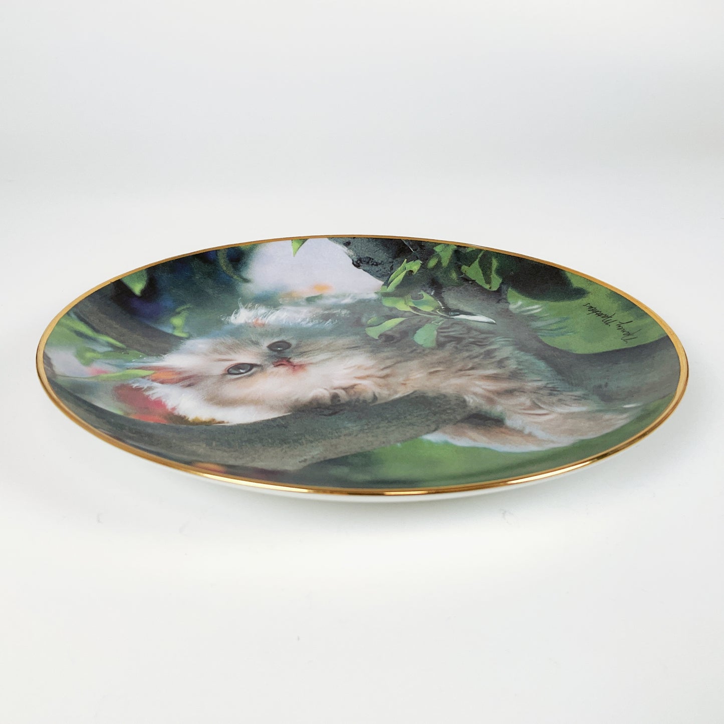 Franklin Mint - "Out on a Limb" by Nancy Matthews Decorative Plate