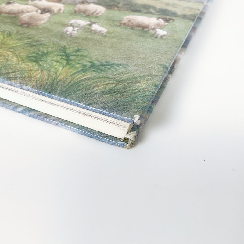 Days on the Farm Children's Short Story Collection by Kim Lewis