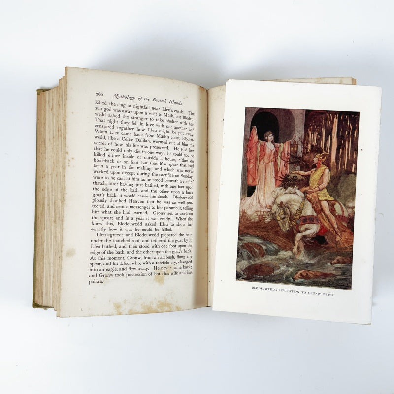 Celtic Myth and Legend Poetry & Romance Book