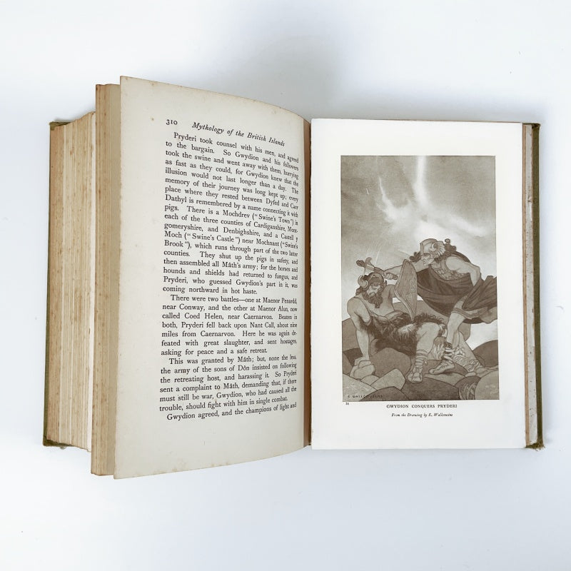 Celtic Myth and Legend Poetry & Romance Book