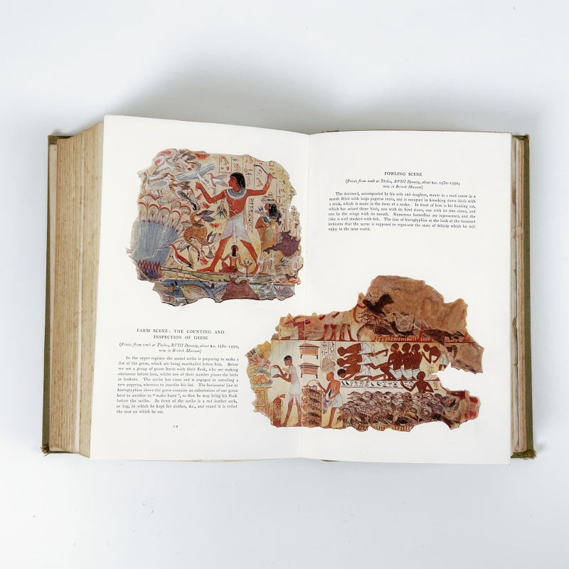 Egyptian Myth and Legend - Donald A. Mackenzie