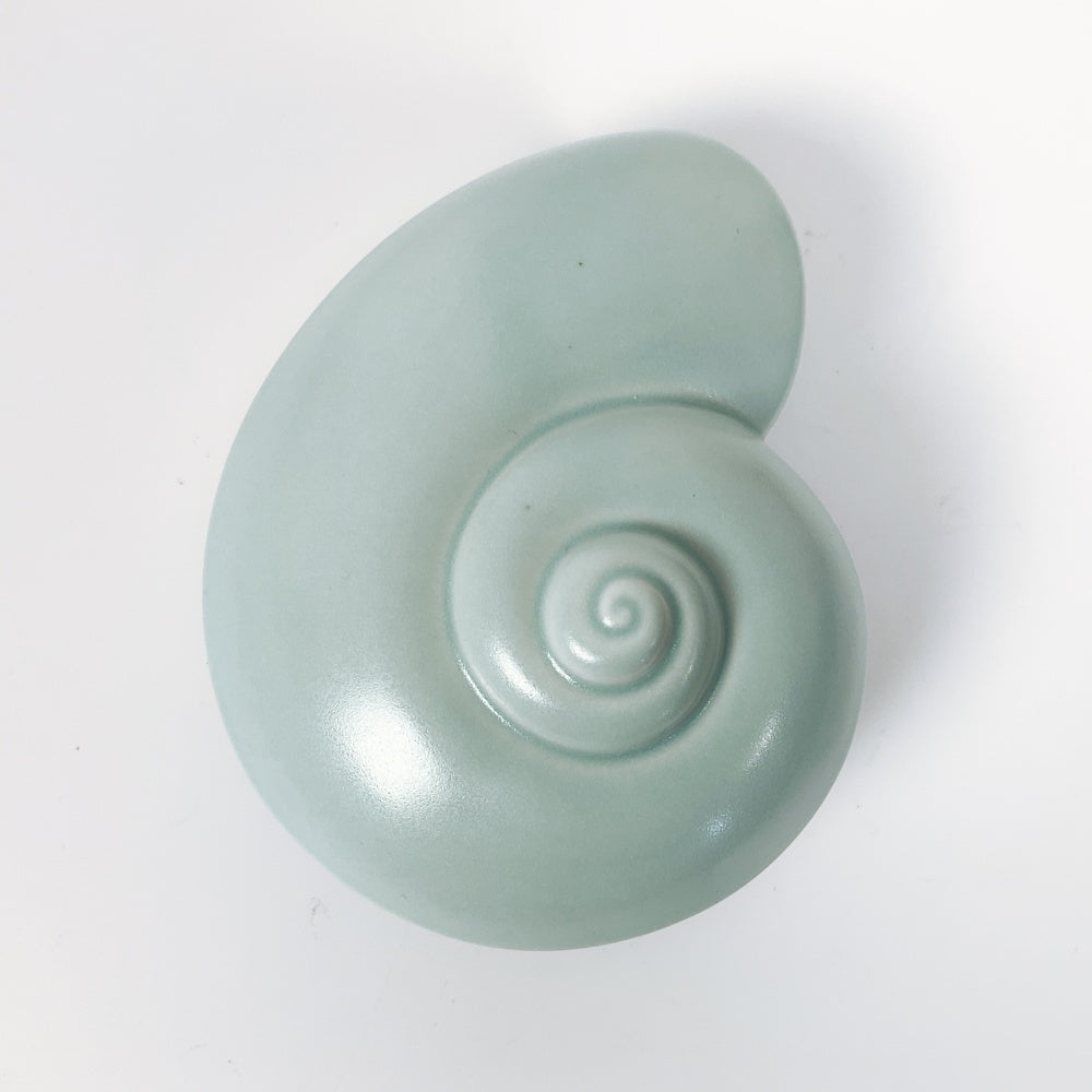 Steiner Ceramics NZ - Sea Snail Wall Art